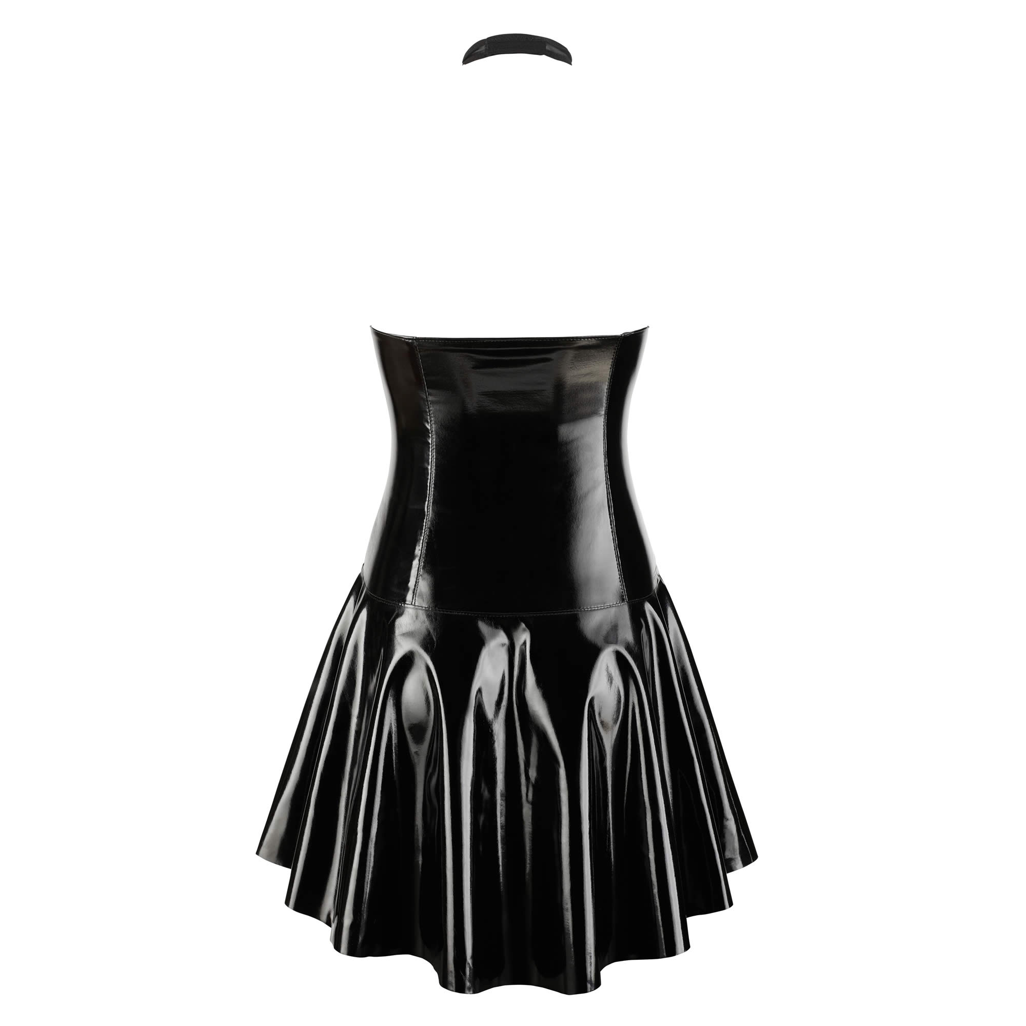 Vinyl Dress with Transparent Top