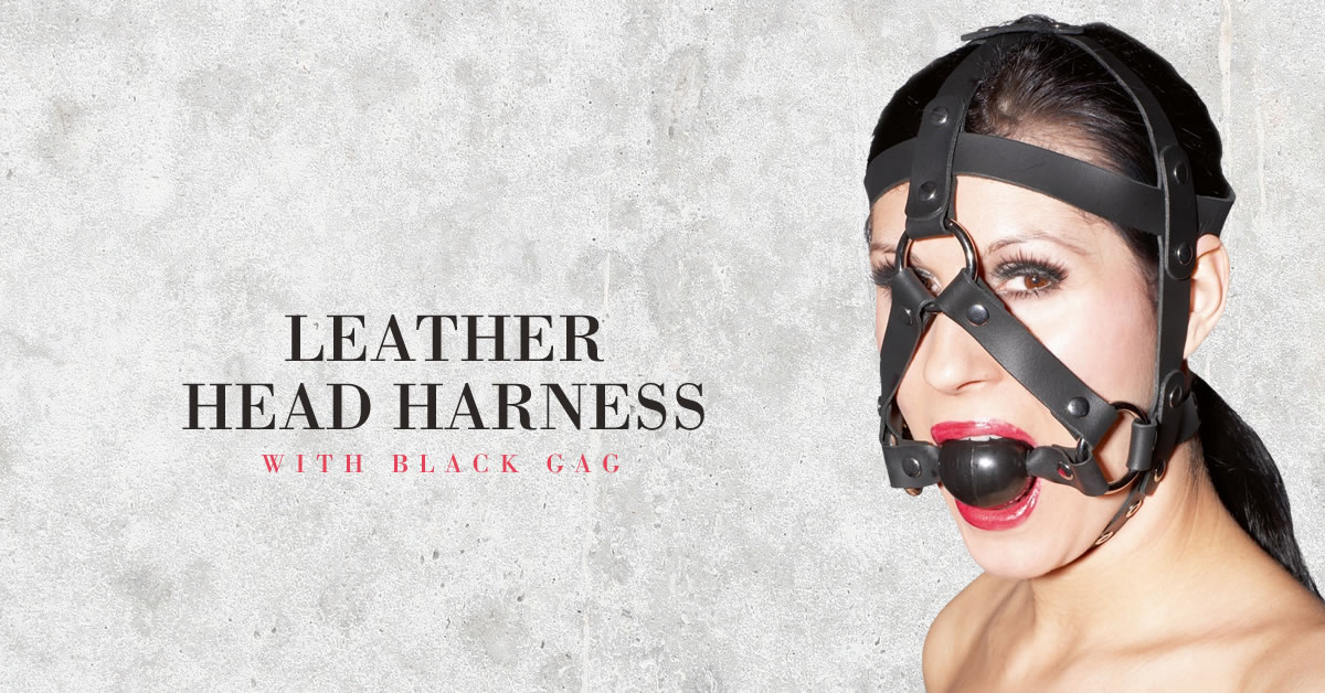 ZADO Leather Head Harness