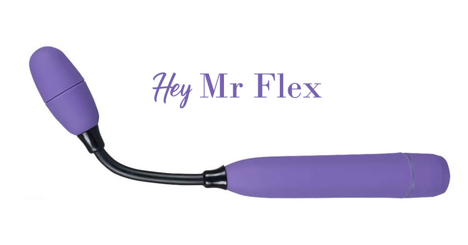 Hey Mr Flex Dildo Vibrator
