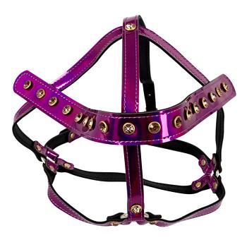 Head Harness in Pink